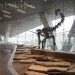 Perot Museum of Nature and Science, Thom Mayne, Morphosis Architects, Dallas