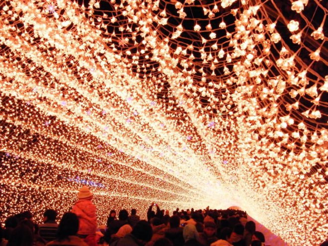 green design, eco design, sustainable design, Nabana no Sato Botanical Garden, Winter Illuminations, Nagashima, Kuwana, LED installation, LED botanical garden, Japan's best light installation