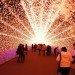 green design, eco design, sustainable design, Nabana no Sato Botanical Garden, Winter Illuminations, Nagashima, Kuwana, LED installation, LED botanical garden, Japan's best light installation