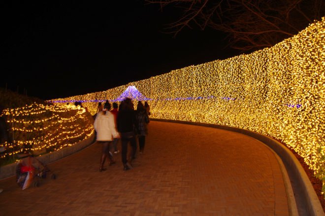 green design, eco design, sustainable design, Nabana no Sato Botanical Garden, Winter Illuminations, Nagashima, Kuwana, LED installation, LED botanical garden, Japan's best light installation