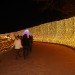 green design, eco design, sustainable design, Nabana no Sato Botanical Garden, Winter Illuminations, Nagashima, Kuwana, LED installation, LED botanical garden, Japan's best light installation