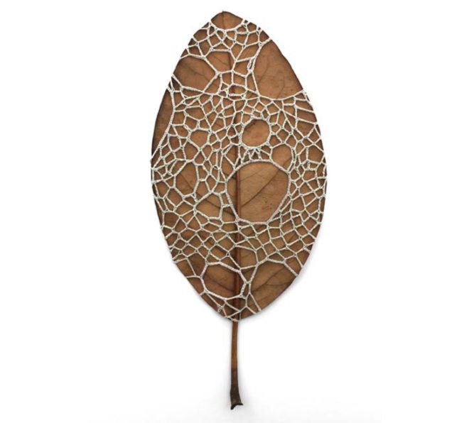 susanna bauer, crochet, embroidery, organic, natural objects, leaf, netted