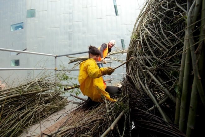Patrick Dougherty, Ballroom, Willow Nest, Melbourne, Federation Square, St. Paul's Cathedral, public art, environmental art, invasive species, willow, Australia, green design, green art, sustainable design, eco-design, eco-art,