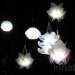 Paula Artzen, Animals, Art, Green Lighting, Ana Lisa Alperovich, Ernst Haeckel, Ernst Haeckel, during Dutch Design Week, lamp, recyclable polypropylene, flat pack