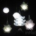 Paula Artzen, Animals, Art, Green Lighting, Ana Lisa Alperovich, Ernst Haeckel, Ernst Haeckel, during Dutch Design Week, lamp, recyclable polypropylene, flat pack