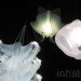 Paula Artzen, Animals, Art, Green Lighting, Ana Lisa Alperovich, Ernst Haeckel, Ernst Haeckel, during Dutch Design Week, lamp, recyclable polypropylene, flat pack
