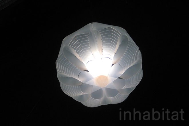 Paula Artzen, Animals, Art, Green Lighting, Ana Lisa Alperovich, Ernst Haeckel, Ernst Haeckel, during Dutch Design Week, lamp, recyclable polypropylene, flat pack