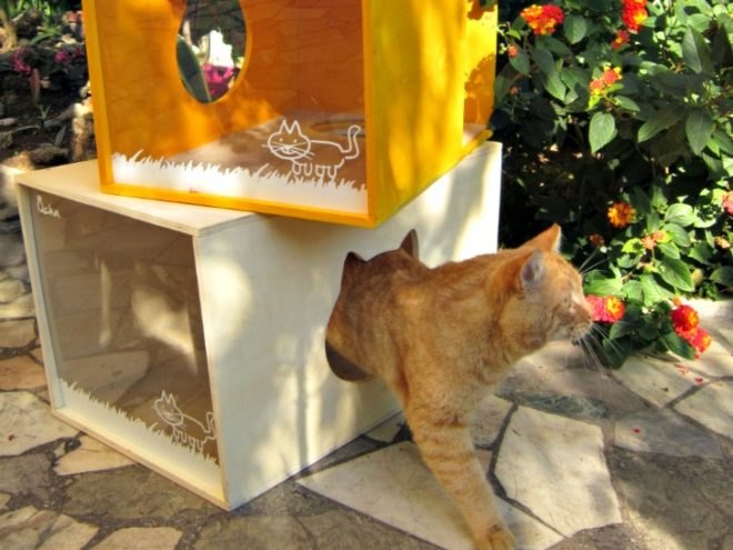 Qcha Cat Home Series, Qcha, eco-friendly cat homes, sustainable cat homes, eco-pets, green pets, green cat homes, Daniela Ogis, Stefano Ogis, Fabrizio Fillo