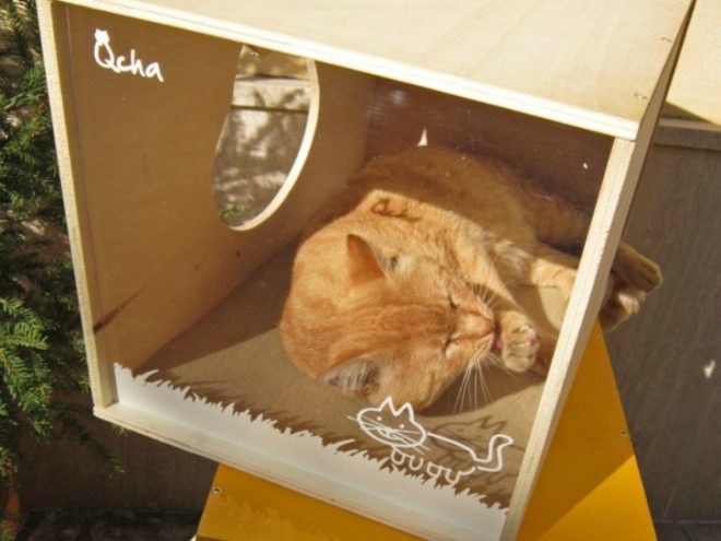 Qcha Cat Home Series, Qcha, eco-friendly cat homes, sustainable cat homes, eco-pets, green pets, green cat homes, Daniela Ogis, Stefano Ogis, Fabrizio Fillo