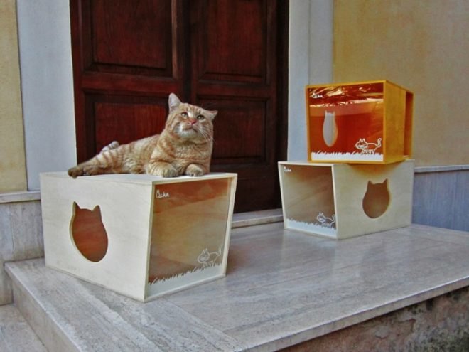 Qcha Cat Home Series, Qcha, eco-friendly cat homes, sustainable cat homes, eco-pets, green pets, green cat homes, Daniela Ogis, Stefano Ogis, Fabrizio Fillo