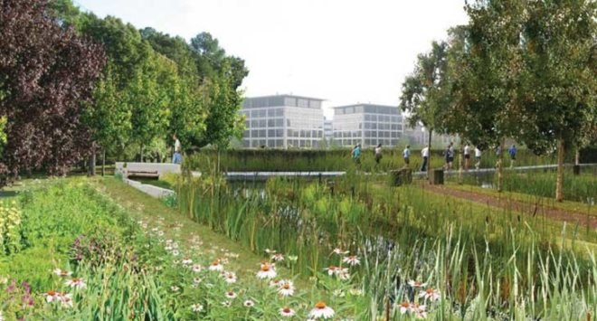 RTP, research triangle park, NC, north carolina, master plan, development, RTF, Liz Rooks
