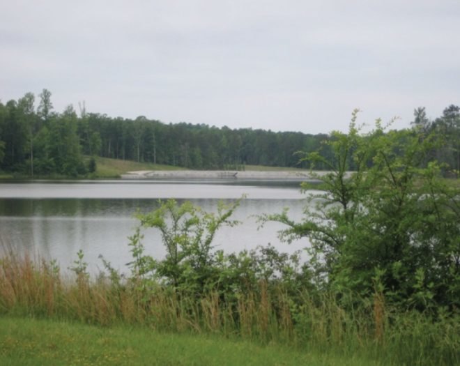 RTP, research triangle park, NC, north carolina, master plan, development, RTF, Liz Rooks