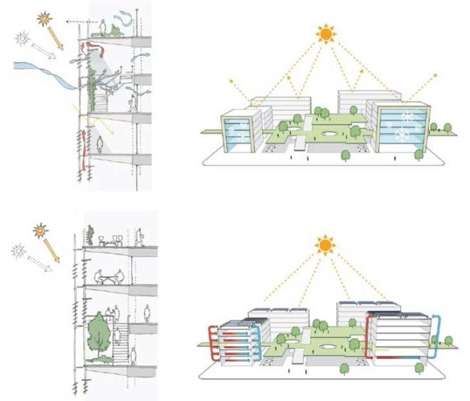 RTP, research triangle park, NC, north carolina, master plan, development, RTF, Liz Rooks