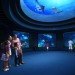 Aquarium, Singapore, S.E.A. Aquarium, Resort World Sentosa, Marine biodiversity, Marine Life Park, animal rights activism, IUCN, environmental news, Asia, Indo-Pacific bottlenose dolphins