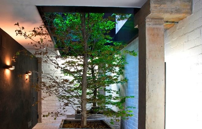 James & Mau, Madrid, Spain, historic buildings, Corten steel, daylighting, energy efficiency, solar gain, thermal massing, indoor trees, green design, sustainable design, eco-design