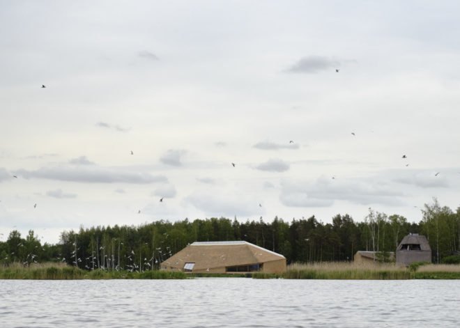 Takern Visitor Centre, Wingardhs, nesting roof, bird watching, sustainable design, green architecture, thatched roof, swedish design, green roof