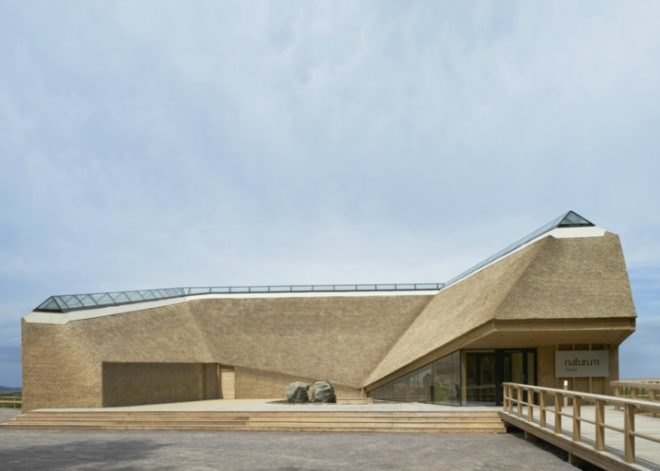 Takern Visitor Centre, Wingardhs, nesting roof, bird watching, sustainable design, green architecture, thatched roof, swedish design, green roof