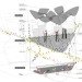 tomdavid architecten, market square casablanca, sustainable design, green design, public architecture, canopy structure, reused water, [ac-ca] competition,