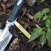 Urban Gardener Kit, Urban Gardening, urban food garden, gardening kit gift, garden gift, gardening Christmas gift