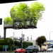 Urban Air, Stephen Glassman, billboard, eco art, sky garden, bamboo garden, la, arup, summit media