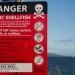 Washing State Oceans, Washington State shellfish industry, Ocean acidification, carbon dioxide in the oceans, shellfish issues, combating global warming, combating ocean acidification