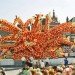 green design, eco design, sustainable design, green events, eco events, sustainable events, green parade, eco parade, sustainable parade, parades, netherlands, the netherlands, zundert, zundert parade, netherlands parade, bloemencorso, bloemencorso parade, bloemencorso zundert, flowers, recycled flowers
