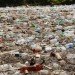 SUNY Fredonia, Sherri Mason, Great Lakes, Plastic Pollution, Gyres, Microplastic, Lake Superior, Huron, Erie, United States, Science, News, Environment, Food Chain