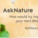 ivy, biomimicry, biomimicry.net, ask nature,asknature, inspiration in nature, design ideas, design inspiration, design tools, inspiration from nature,