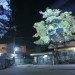 cambodian trees, clement briend, deities, spirits, projection, cambodia, light