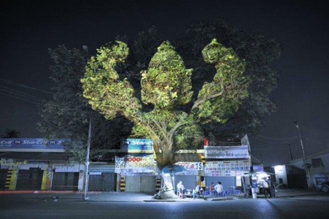 cambodian trees, clement briend, deities, spirits, projection, cambodia, light