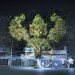 cambodian trees, clement briend, deities, spirits, projection, cambodia, light
