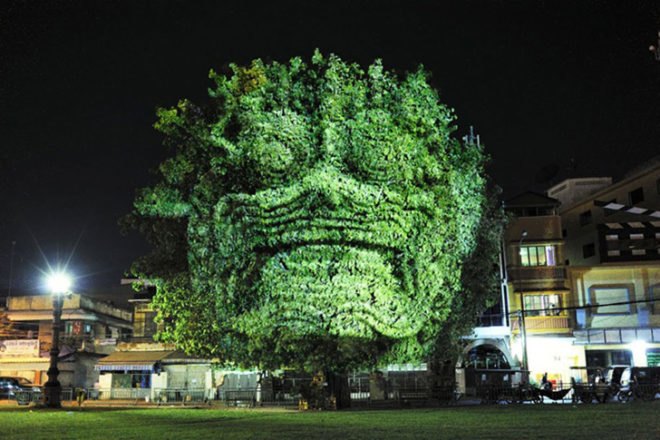 cambodian trees, clement briend, deities, spirits, projection, cambodia, light