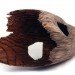 pencil, sculpture, jessica drenk. graphite, wood, organic, natural form, implement
