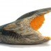 pencil, sculpture, jessica drenk. graphite, wood, organic, natural form, implement