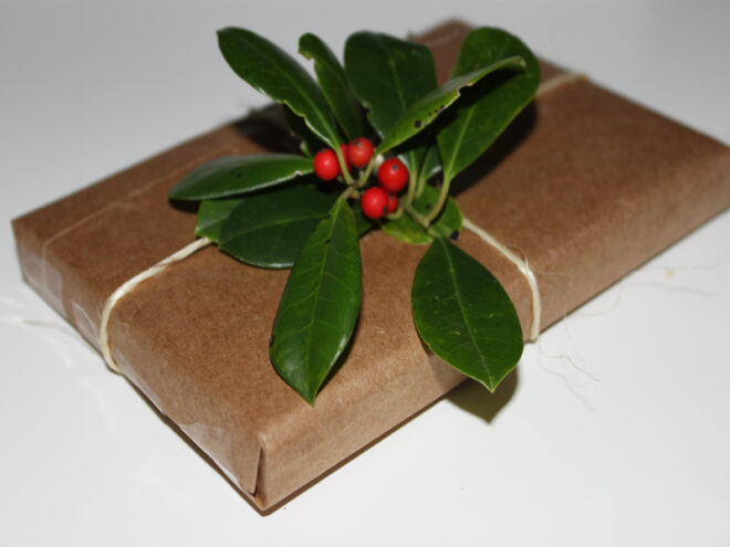 eco kids, green kids, green design for kids, eco holidays, green holidays, diy gift wrap, recycled gift wrap, jennie lyon, how to