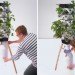 Fogger, vertical planter, VAKANT Design, fogponics, gardening