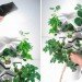 Fogger, vertical planter, VAKANT Design, fogponics, gardening