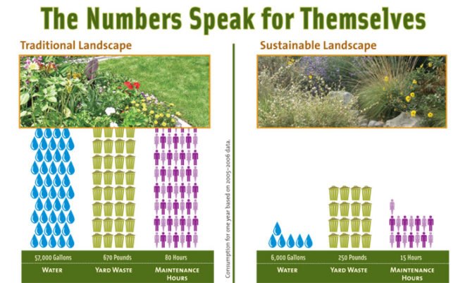 Santa Monica, urban landscape, garden / garden, sustainable, conventional, water harvesting, native plants, pervious pathway, rainwater run-off, water efficiency, sustainable design, green design, green landscaping, sustainable landscaping