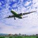 biofuel, plane, jet fuel, biodiesel, chemical process, uc berkeley, green fuel, renewable energy, sustainable energy, green jet fuel, renewable jet fuel