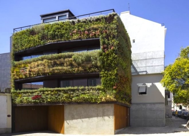 Luís Rebelo de Andrade, Tiago Rebelo de Andrade , Manuel Cachão Tojal, living wall, green facade, vertical garden, Lisbon, Portugal, daylighting, green design, sustainable design, eco-design, house with a green face, Travessa de Patrocinio, green lung of lisbon, air quality, insulation, courtyard