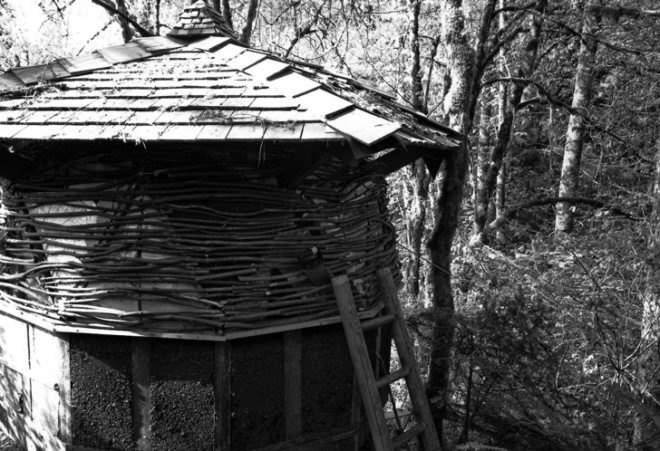 Geodesic Dome Cabin, Jeffrey the Natural Builder, dome cabins, eco cabin, green cabin, sustainable cabin, earthen plaster, earthen cabin, recycled materials cabin