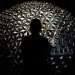 lotus dome, lille, france, studio roosegaarde, flower, smart foil, installation, interactive