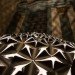 lotus dome, lille, france, studio roosegaarde, flower, smart foil, installation, interactive