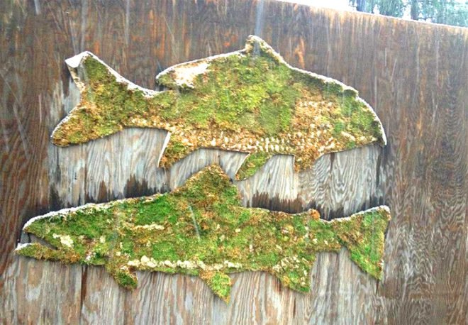 eco-art, Mosstika, edina tokodi, environmental art, graffiti, grass art, living street art, moss art, public space art, Street art, urban space, green graffiti, art nyc, green art, eco art