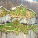 eco-art, Mosstika, edina tokodi, environmental art, graffiti, grass art, living street art, moss art, public space art, Street art, urban space, green graffiti, art nyc, green art, eco art
