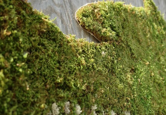 eco-art, Mosstika, edina tokodi, environmental art, graffiti, grass art, living street art, moss art, public space art, Street art, urban space, green graffiti, art nyc, green art, eco art