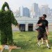 eco-art, Mosstika, edina tokodi, environmental art, graffiti, grass art, living street art, moss art, public space art, Street art, urban space, green graffiti, art nyc, green art, eco art