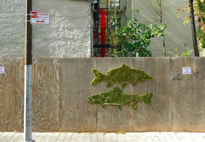 eco-art, Mosstika, edina tokodi, environmental art, graffiti, grass art, living street art, moss art, public space art, Street art, urban space, green graffiti, art nyc, green art, eco art