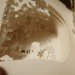 yusuke oono, book, fairytale, 36o degrees, diorama, snow white, fab cafe, you fab, laser cutter
