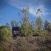 EMa Arquitectos, Casablanca, Chile, cabin, one-bedroom, Pangal Cabin, sustainable, Nautilus Constructora, plywood, steel construction, views, daylighting, solar energy, site design